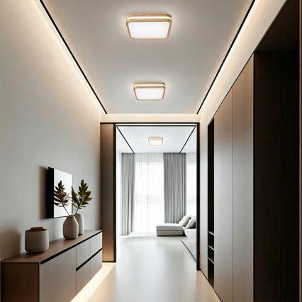 BRILAGI - LED-kattovalaisin MOLINA SQUARE LED/32W/230V 3000/4000/6000K tammi 30x30 cm