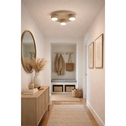 Brilagi - LED-kattovalaisin MONO 3xGX53/12W/230V halkaisija 30 cm beige