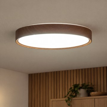 BRILAGI - LED-kattovalaisin NATURA LED/24W/230V 4000K halkaisija 38,3 cm