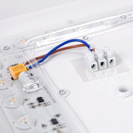 Brilagi - LED-kattovalaisin PILANA LED/24W/230V tammi/valkoinen 32x32 cm