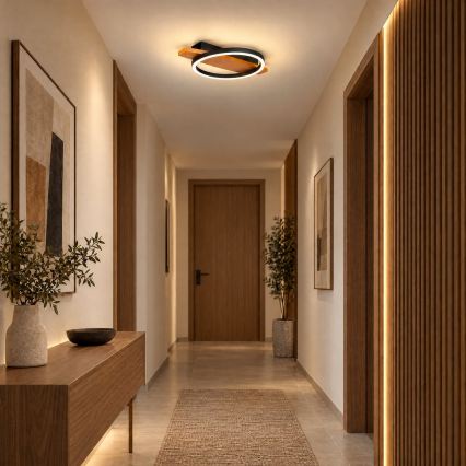BRILAGI - LED-kattovalaisin PLANK LED/16W/230V 4000K 30x40 cm puu