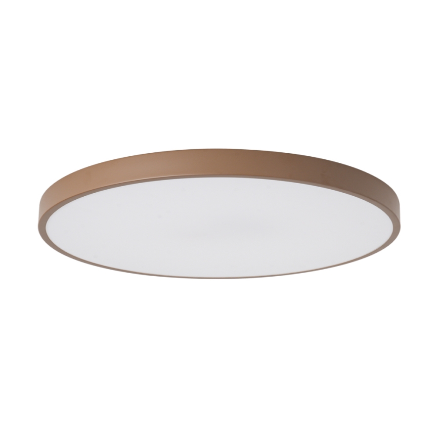 Brilagi - LED-kattovalaisin POOL LED/100W/230V 3000/4000/6000K halkaisija 80 cm ruskea