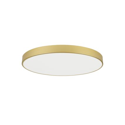 Brilagi - POOL LED-kattovalaisin, 100 W, 230 V, 3000/4000/6000 K, halkaisija 80 cm, kultainen
