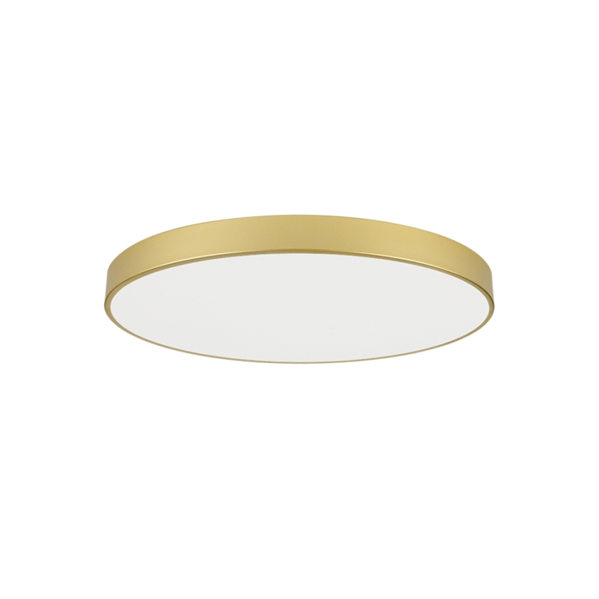 Brilagi - POOL LED-kattovalaisin, 100 W, 230 V, 3000/4000/6000 K, halkaisija 80 cm, kultainen
