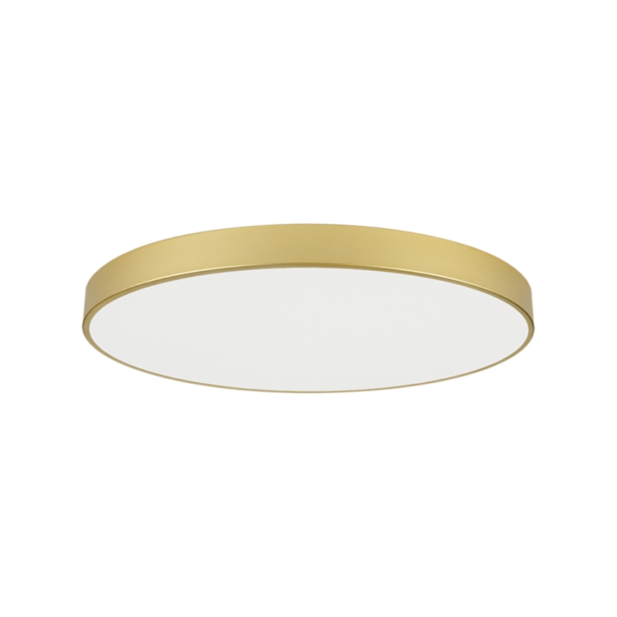 Brilagi - LED-kattovalaisin POOL LED/128W/230V 3000/4000/6000K Ø 100 cm, kultainen