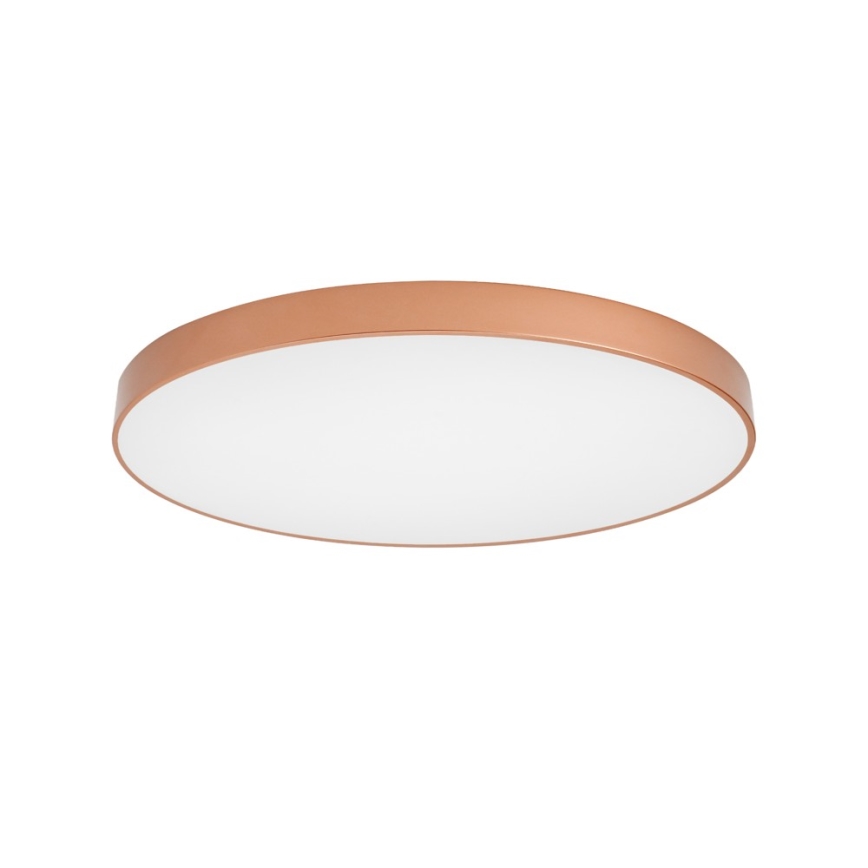 BRILAGI - LED-kattovalaisin POOL LED/128W/230V 3000/4000/6000K halkaisija 100 cm kuparinvärinen