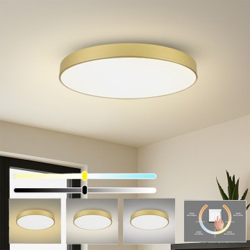 Brilagi - LED-kattovalaisin POOL LED/128W/230V 3000/4000/6000K Ø 100 cm, kultainen