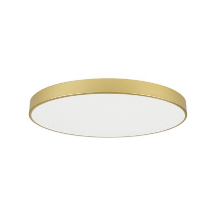 Brilagi - LED-kattovalaisin POOL LED/128W/230V 3000/4500/6000K Ø 100 cm, kultainen