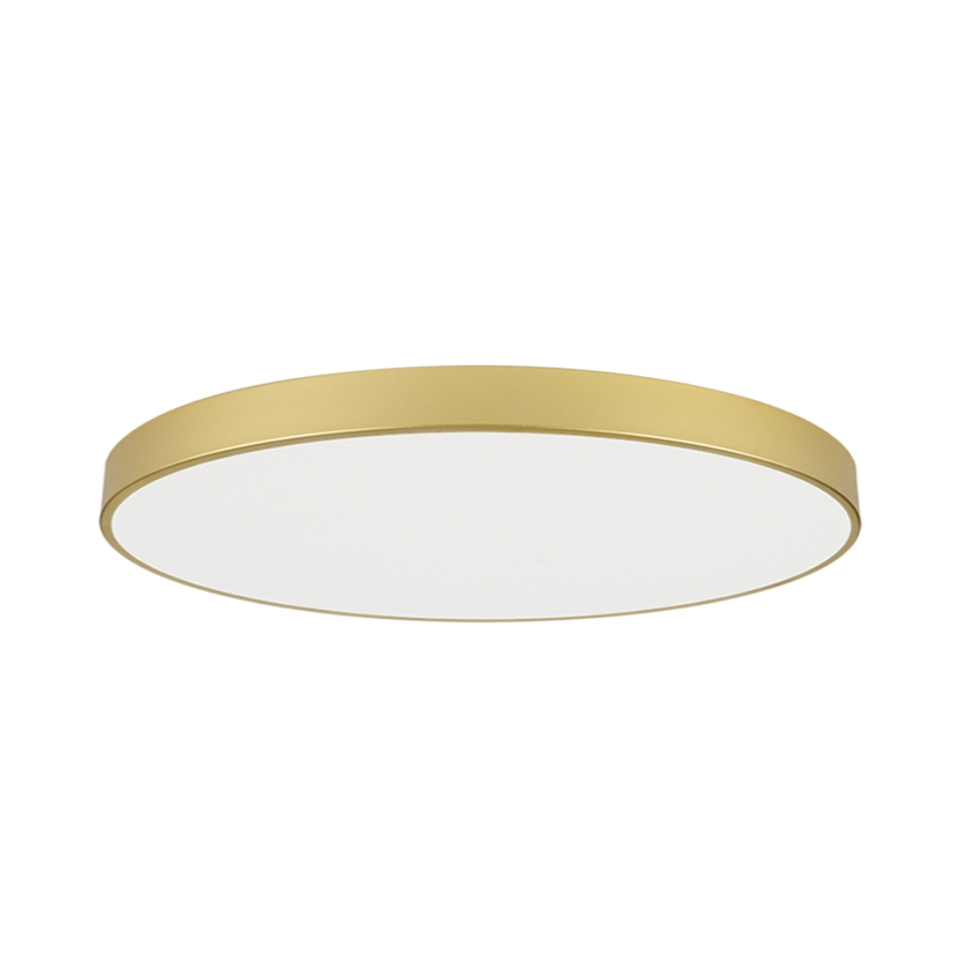 Brilagi - LED-kattovalaisin POOL LED/180W/230V 3000/4000/6000K halkaisija 120 cm kultainen