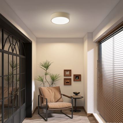 Brilagi - LED-kattovalaisin POOL LED/18W/230V 3000/4000/6000K halkaisija 20 cm beige