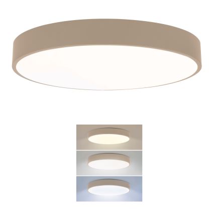 Brilagi - POOL LED - kattovalaisin, 36 W, 230 V, 3000/4000/6000 K, halkaisija 30 cm, beige