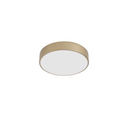 BRILAGI - LED-kattovalaisin POOL LED/36W/230V 3000/4000/6000K halkaisija 30 cm kultainen