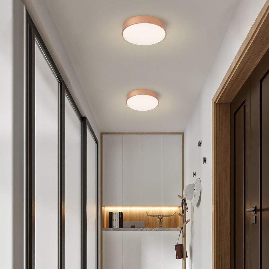 BRILAGI - LED-kattovalaisin POOL LED/36W/230V 3000/4000/6000K Ø 30 cm pronssinvärinen