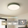 Brilagi - LED-kattovalaisin POOL LED/36W/230V 3000/4000/6000K Ø 30 cm, vihreä