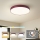 Brilagi - LED-kattovalaisin POOL LED, 48 W, 230 V, 3000/4000/6000 K, Ø 40 cm, viininpunainen