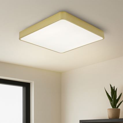 Brilagi - LED-kattovalaisin POOL LED/48W/230V 3000/4000/6000K 50x50 cm kultainen