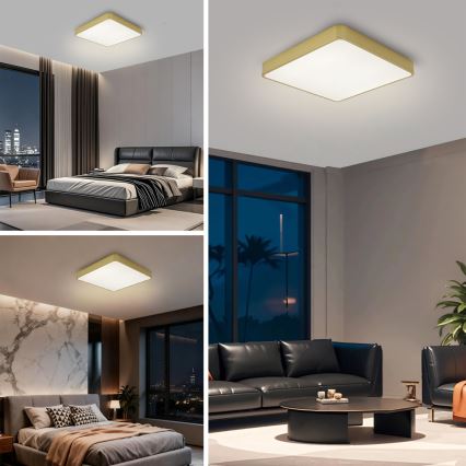 Brilagi - LED-kattovalaisin POOL LED/48W/230V 3000/4000/6000K 50x50 cm kultainen