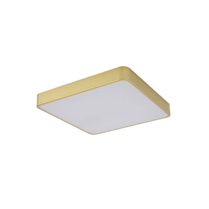 Brilagi - LED-kattovalaisin POOL LED/48W/230V 3000/4000/6000K 50x50 cm kultainen