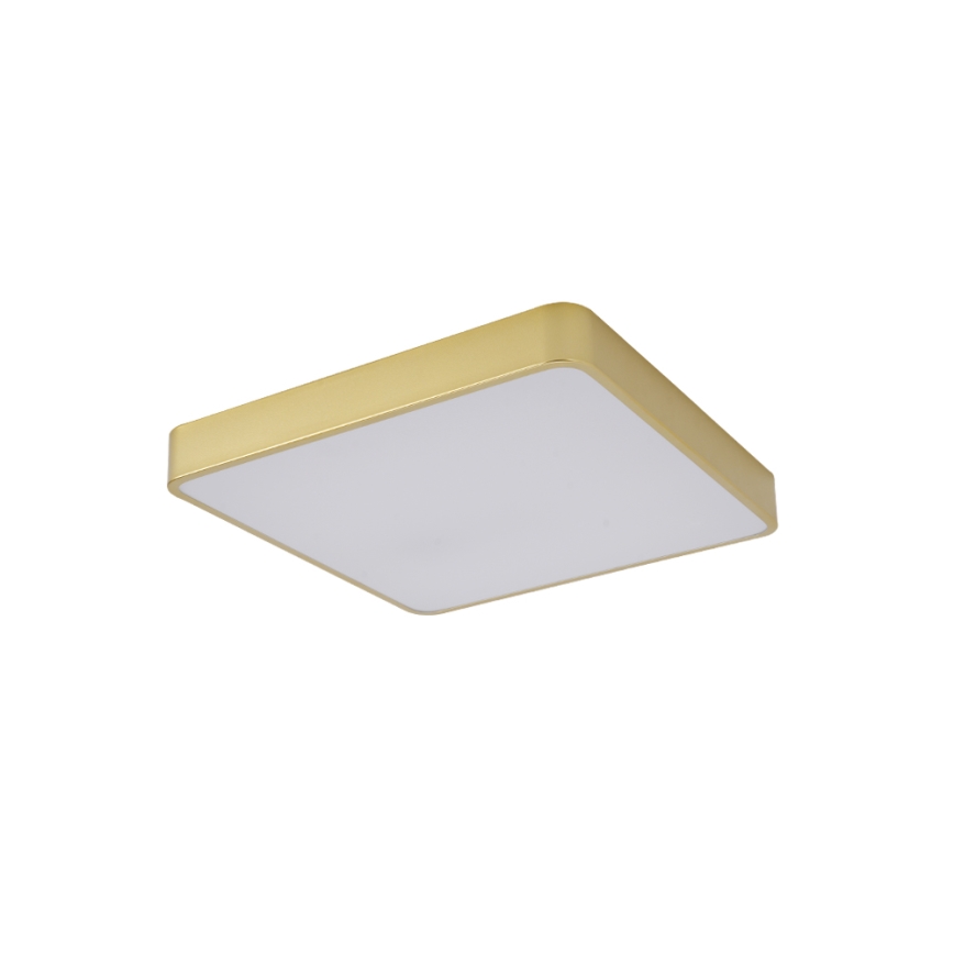 Brilagi - LED-kattovalaisin POOL LED/48W/230V 3000/4000/6000K 50x50 cm kultainen