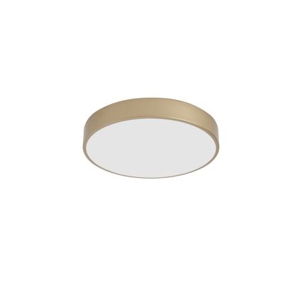 BRILAGI - LED-kattovalaisin POOL LED/48W/230V 3000/4000/6000K halkaisija 40 cm kultainen