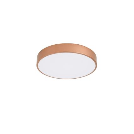 BRILAGI - POOL LED kattovalaisin LED/48W/230V 3000/4000/6000K halkaisija 40 cm pronssinvärinen