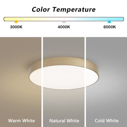 BRILAGI - LED-kattovalaisin POOL LED/60W/230V 3000/4000/6000K halkaisija 50 cm kulta