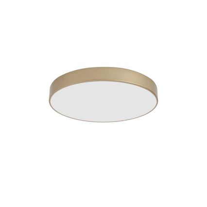 BRILAGI - LED-kattovalaisin POOL LED/60W/230V 3000/4000/6000K halkaisija 50 cm kulta