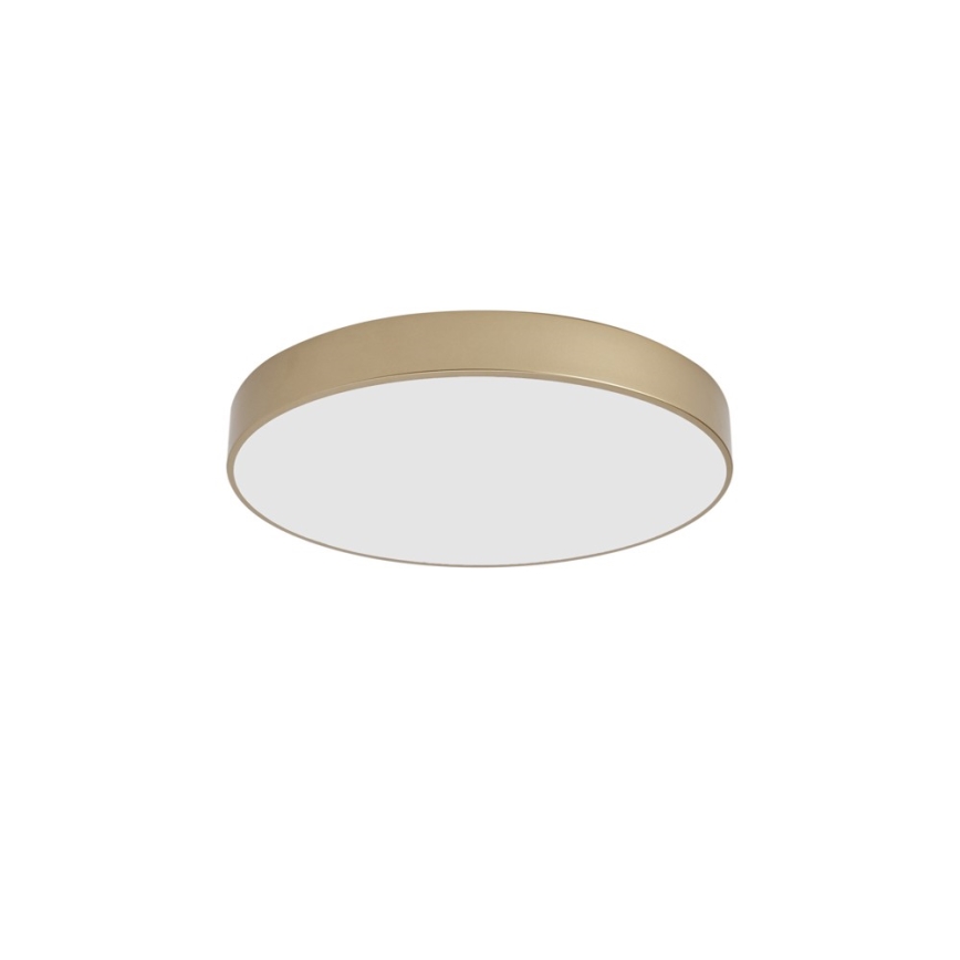 BRILAGI - LED-kattovalaisin POOL LED/60W/230V 3000/4000/6000K halkaisija 50 cm kulta