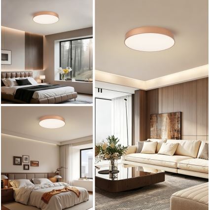 BRILAGI - LED-kattovalaisin POOL LED/60W/230V 3000/4000/6000K halkaisija 50 cm kuparinvärinen