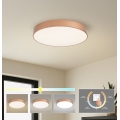 BRILAGI - LED kattovalaisin POOL LED/60W/230V 3000/4000/6000K halkaisija 50 cm pronssi