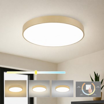 Brilagi - LED-kattovalaisin POOL LED/60W/230V 3000/4000/6000K, halkaisija 60 cm, beige