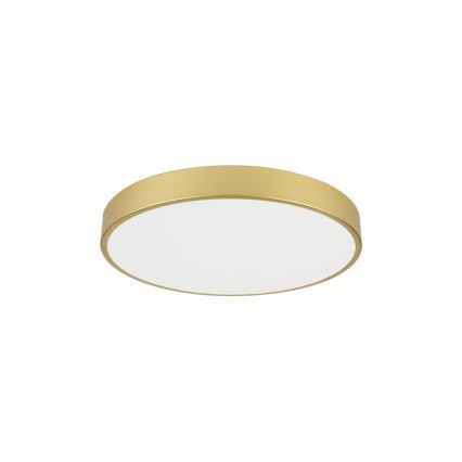 Brilagi - LED-kattovalaisin POOL LED/60W/230V 3000/4000/6000K halkaisija 60 cm kultainen