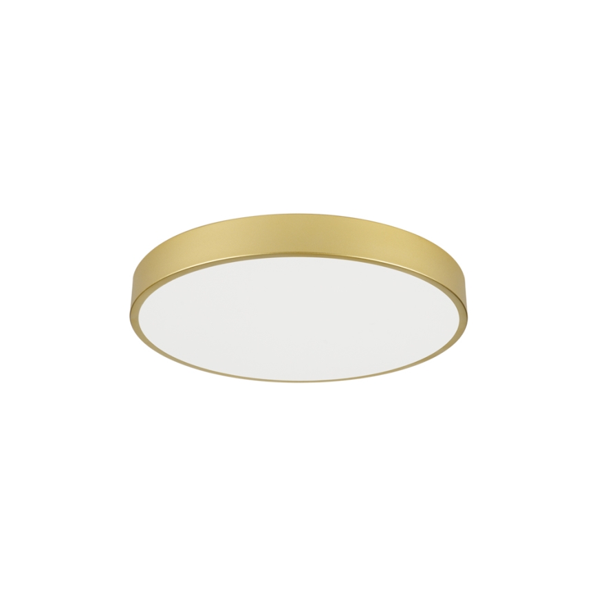 Brilagi - LED-kattovalaisin POOL LED/60W/230V 3000/4000/6000K halkaisija 60 cm kultainen