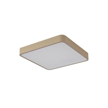 BRILAGI - LED-kattovalaisin POOL SQUARE 48W/230V 3000/4000/6000K 50x50 cm beige