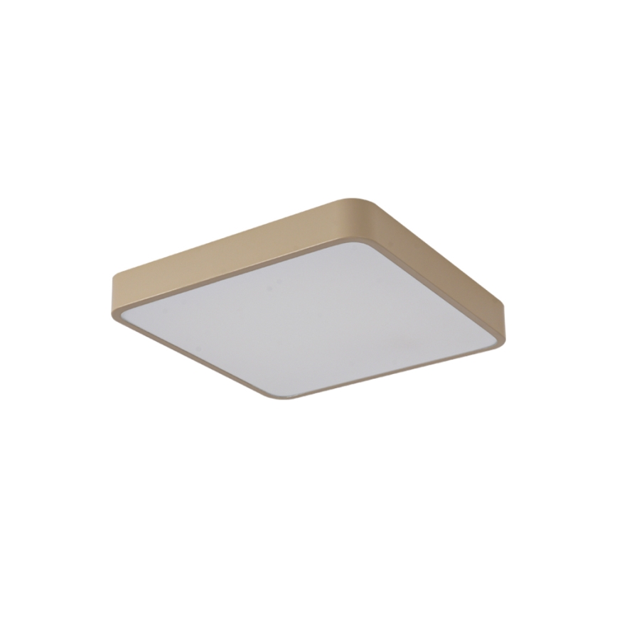 BRILAGI - LED-kattovalaisin POOL SQUARE 48W/230V 3000/4000/6000K 50x50 cm beige