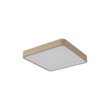 BRILAGI - LED-kattovalaisin POOL SQUARE LED/36W/230V 3000/4000/6000K 40x40 cm beige