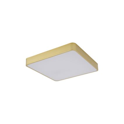 BRILAGI - LED-kattovalaisin POOL SQUARE LED/36W/230V 3000/4000/6000K 40x40 cm kultainen