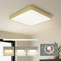 BRILAGI - LED-kattovalaisin POOL SQUARE LED/48W/230V 3000/4000/6000K 50x50 cm kultainen