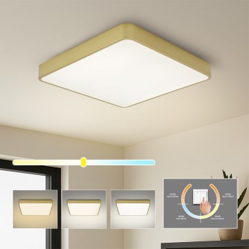 BRILAGI - LED-kattovalaisin POOL SQUARE LED/48W/230V 3000/4000/6000K 50x50 cm kultainen