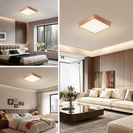 BRILAGI - LED-kattovalaisin POOL SQUARE LED/48W/230V 3000/4000/6000K 50x50 cm pronssinvärinen