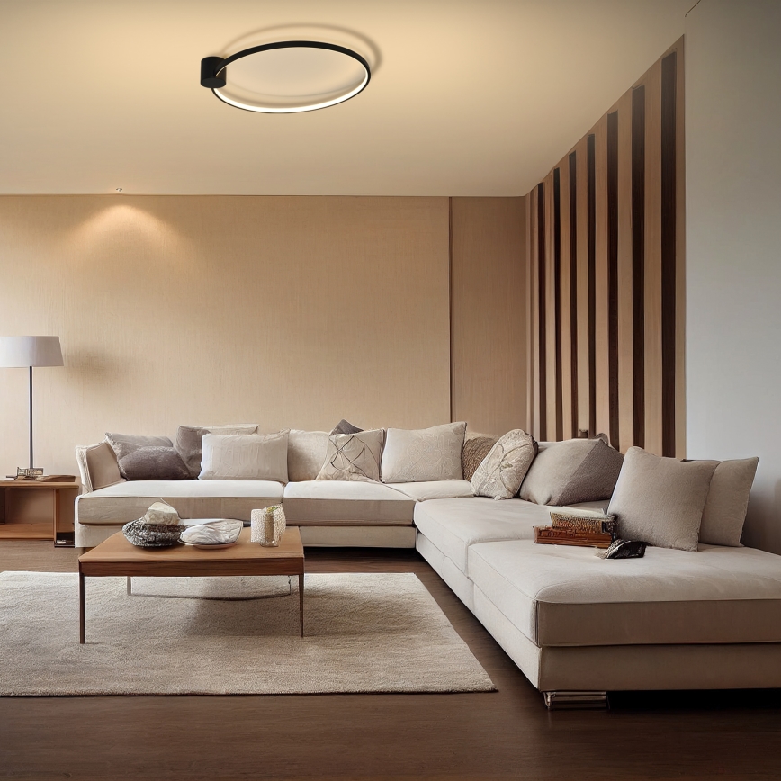 Brilagi - LED-kattovalaisin RINGO LED/18W/230V Ø 50 cm