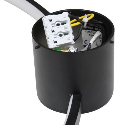 Brilagi - LED-kattovalaisin RINGO LED/18W/230V Ø 50 cm