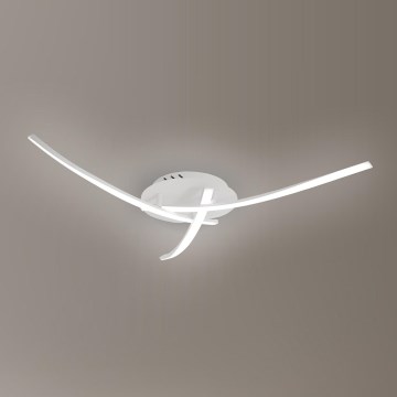 Brilagi - LED-kattovalaisin STRIPES LED/24W/230V Ø 64 cm valkoinen