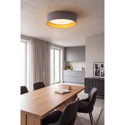 Brilagi - LED-kattovalaisin VELVET SIMPLE LED/24W/230V 3000K Ø 45 cm harmaa/kulta