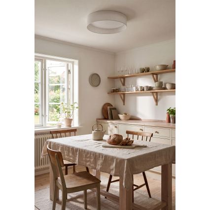 Brilagi - LED-kattovalaisin VELVET SIMPLE LED/24W/230V 3000K halkaisija 45 cm valkoinen