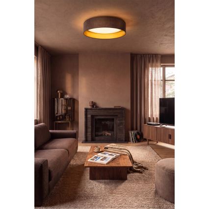 Brilagi - LED-kattovalaisin VELVET SIMPLE LED/36W/230V 3000K Ø 55 cm ruskea/kulta