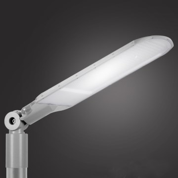 Brilagi - LED-katuvalaisin URBANLIGHT LED/250W/230V harmaa IP65
