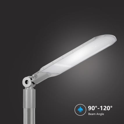 Brilagi - LED-katuvalaisin URBANLIGHT LED/250W/230V harmaa IP65