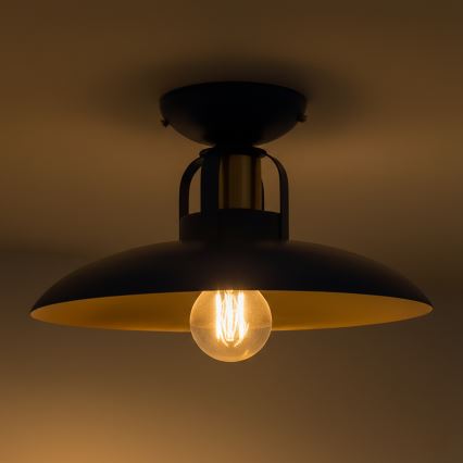 Brilagi - LED Kiinteä kattokruunu FLAMENGO 1xE27/60W/230V sininen