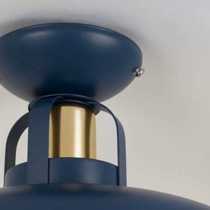 Brilagi - LED Kiinteä kattokruunu FLAMENGO 1xE27/60W/230V sininen